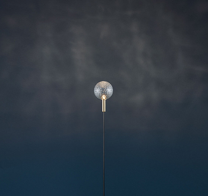 Syphasfera